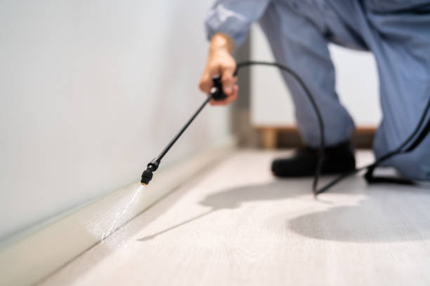 Licensed Pest Control service in Marine City, MI - Show Me Pest Control