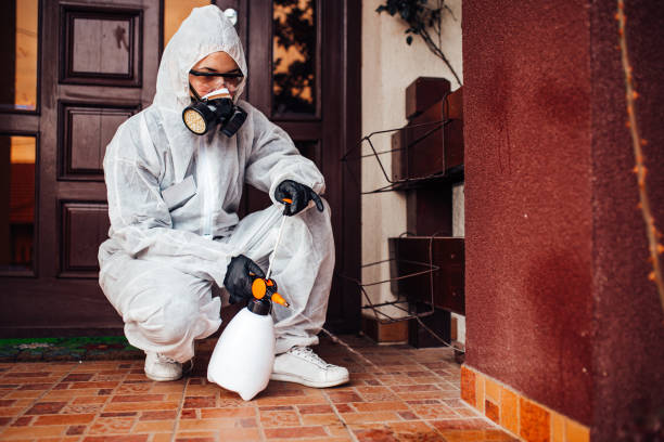 Reliable Mosquito Control contractor in Marine City, MI by Show Me Pest Control